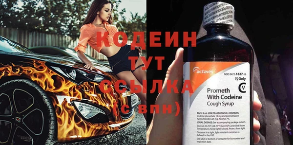 молекула духа Михайловск