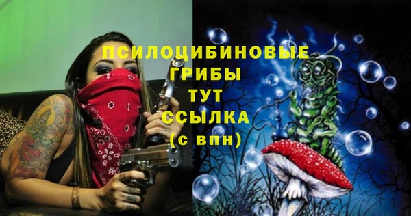 2c-b Михайлов