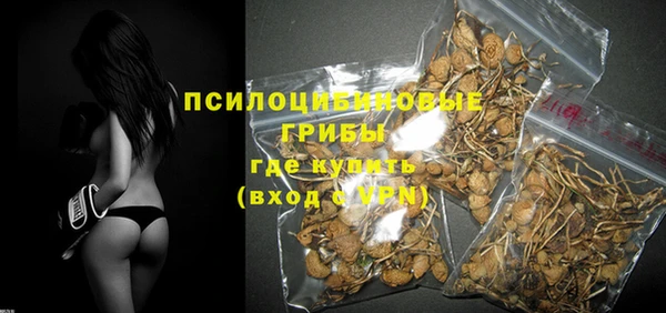 молекула духа Михайловск
