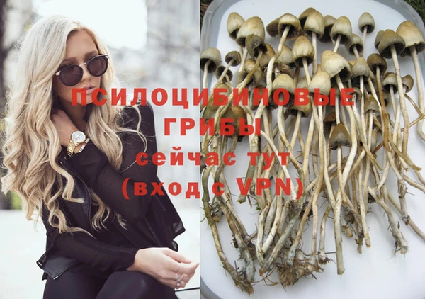 молекула духа Михайловск