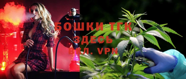 молекула духа Михайловск