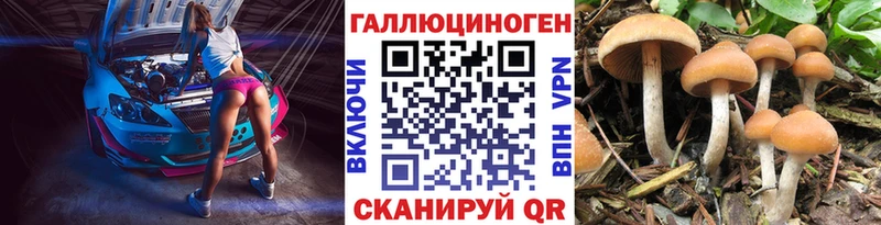 Псилоцибиновые грибы ЛСД  Нижняя Тура 